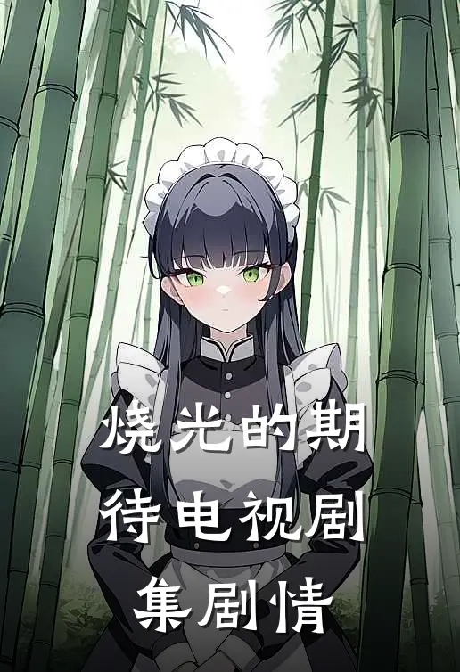 烧光的期待电视剧集剧情