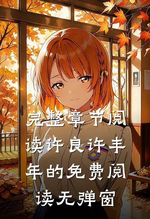 完整章节阅读许良许丰年的免费阅读无弹窗