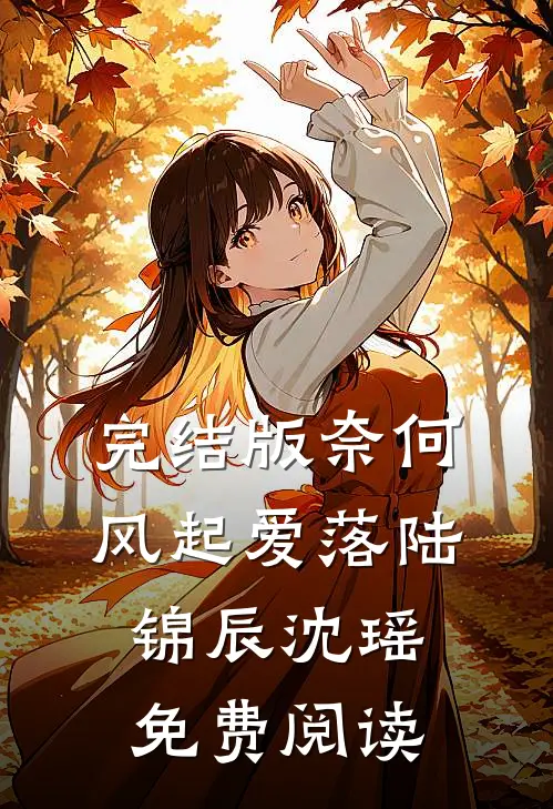 完结版奈何风起爱落陆锦辰沈瑶免费阅读