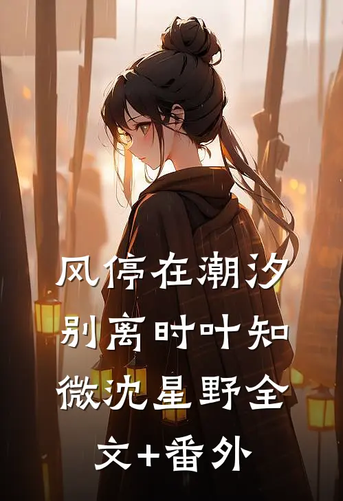 风停在潮汐别离时叶知微沈星野全文+番外