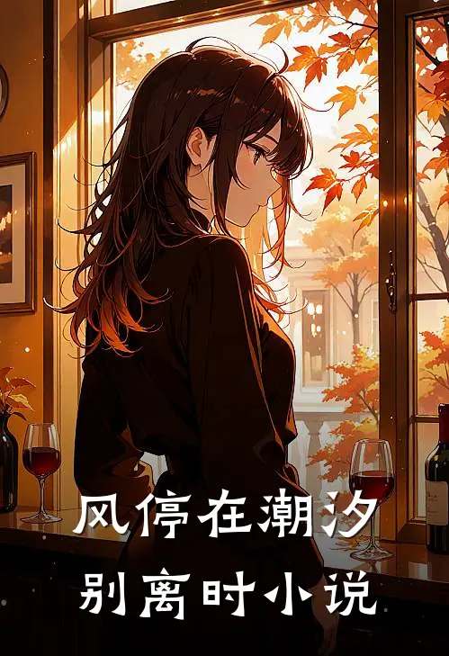 风停在潮汐别离时小说