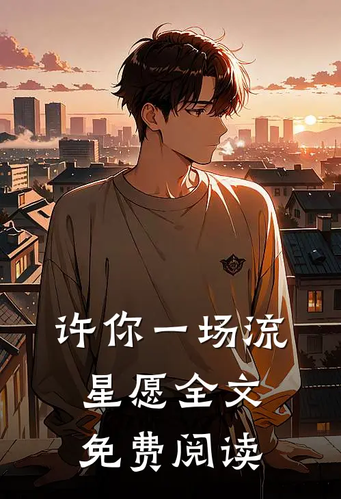 许你一场流星愿全文免费阅读