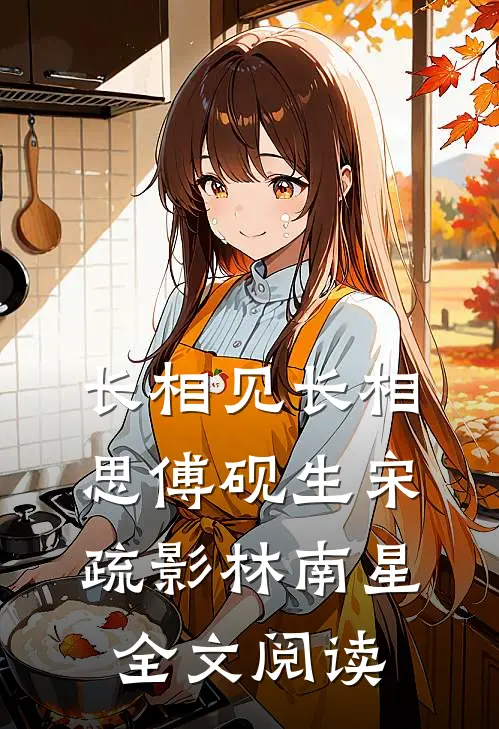 长相见长相思傅砚生宋疏影林南星全文阅读