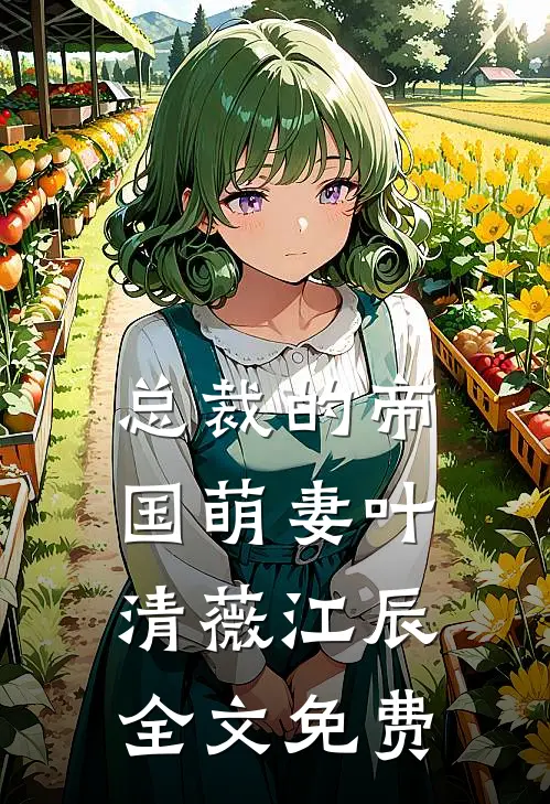 总裁的帝国萌妻叶清薇江辰全文免费