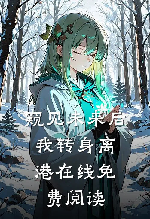 窥见未来后，我转身离港在线免费阅读