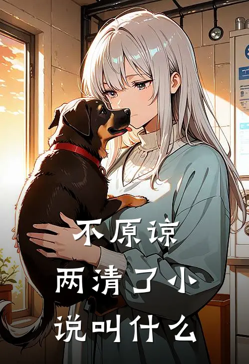 不原谅，两清了小说叫什么
