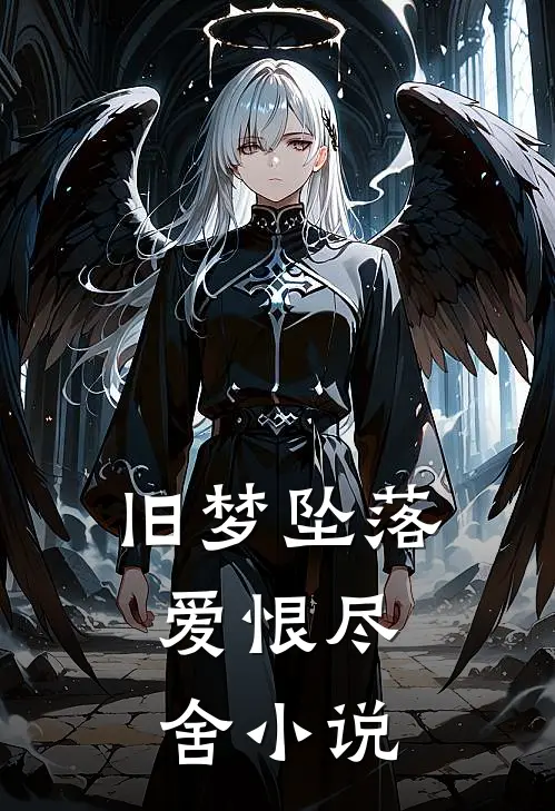 旧梦坠落，爱恨尽舍小说