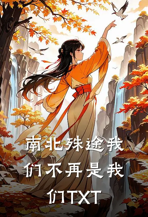 南北殊途我们不再是我们TXT
