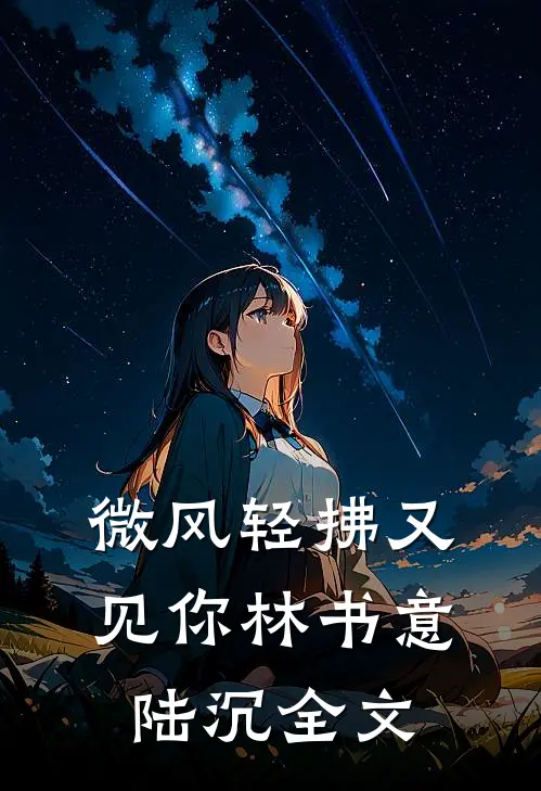 微风轻拂又见你林书意陆沉全文