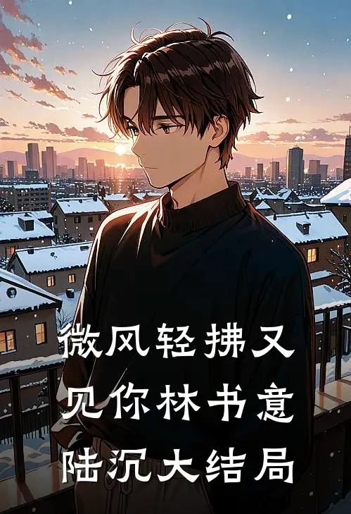 微风轻拂又见你林书意陆沉大结局