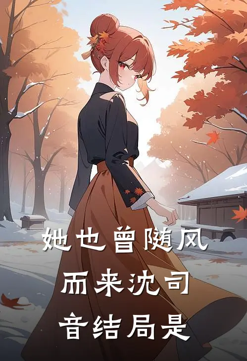 她也曾随风而来沈司音结局是