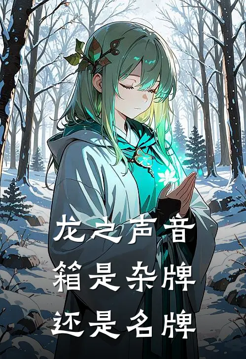 龙之声音箱是杂牌还是名牌