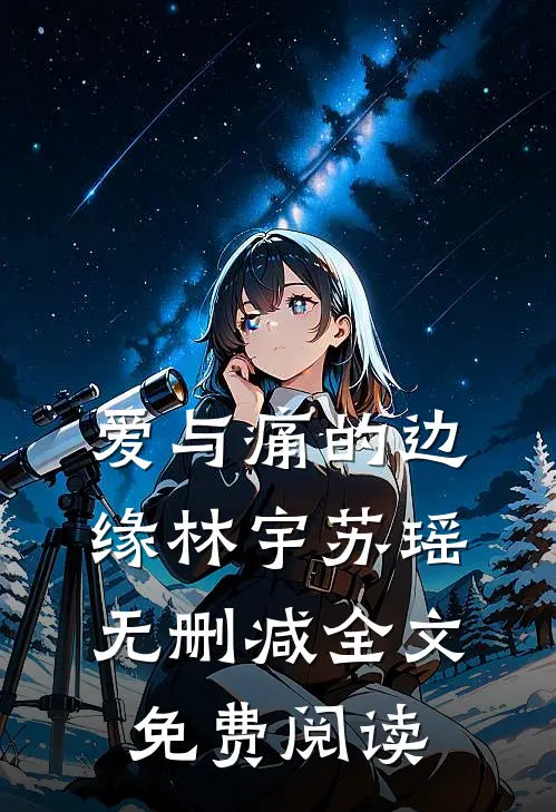 爱与痛的边缘林宇苏瑶无删减全文免费阅读