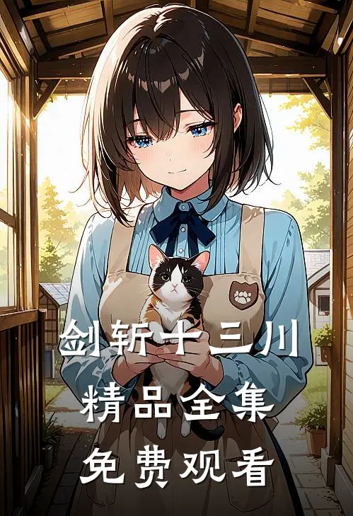 剑斩十三川精品全集免费观看