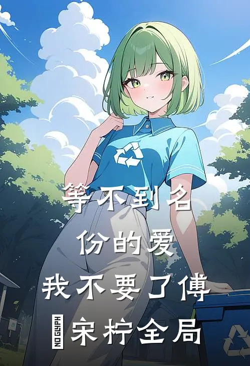 等不到名份的爱，我不要了傅璟宋柠全局