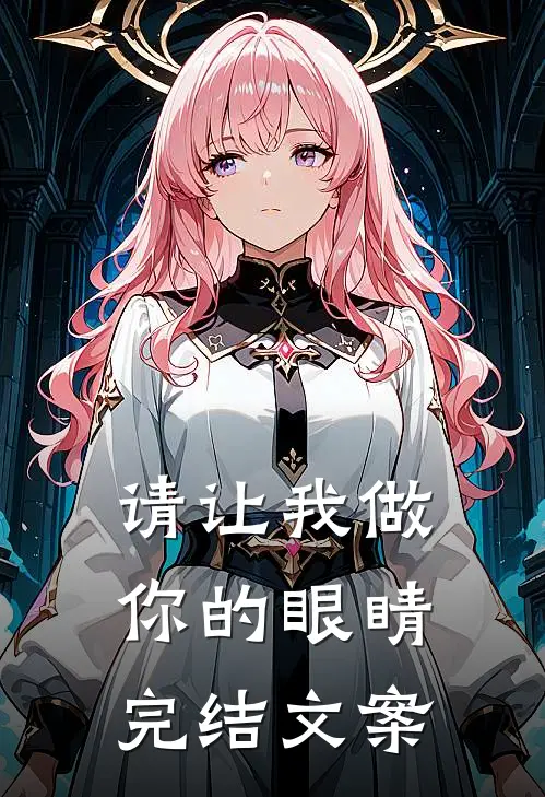 请让我做你的眼睛完结文案