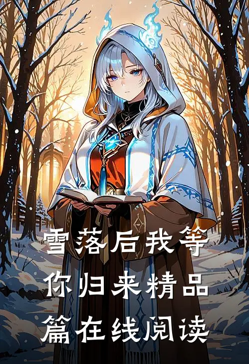 雪落后我等你归来精品篇在线阅读