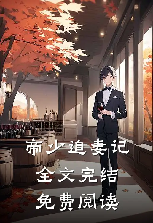 帝少追妻记全文完结免费阅读