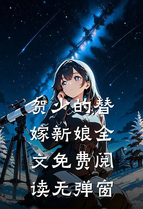 贺少的替嫁新娘全文免费阅读无弹窗