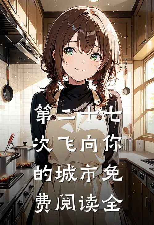 第二十七次飞向你的城市免费阅读全