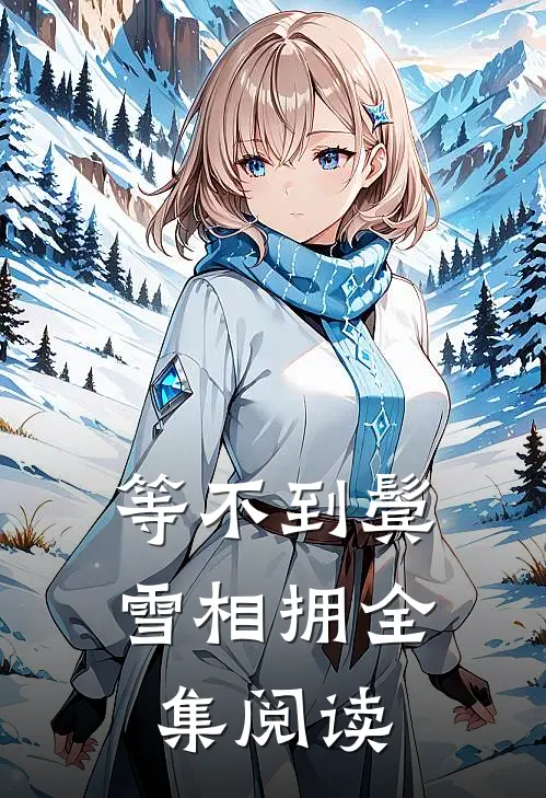 等不到鬓雪相拥全集阅读