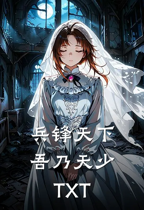 兵锋天下吾乃天少TXT
