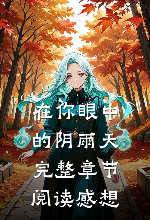 在你眼中的阴雨天完整章节阅读感想
