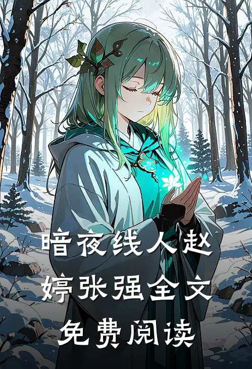 暗夜线人赵婷张强全文免费阅读