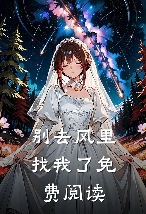 别去风里找我了免费阅读