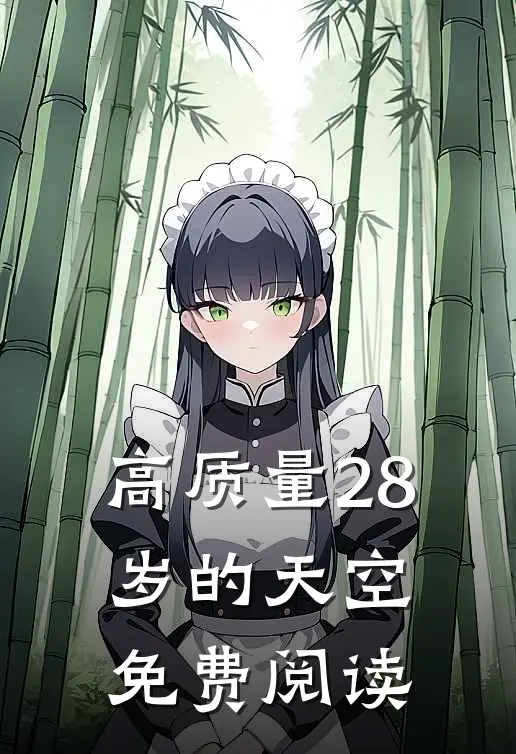 高质量28岁的天空免费阅读