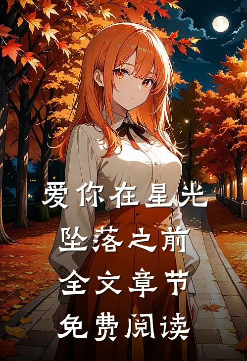 爱你在星光坠落之前全文章节免费阅读
