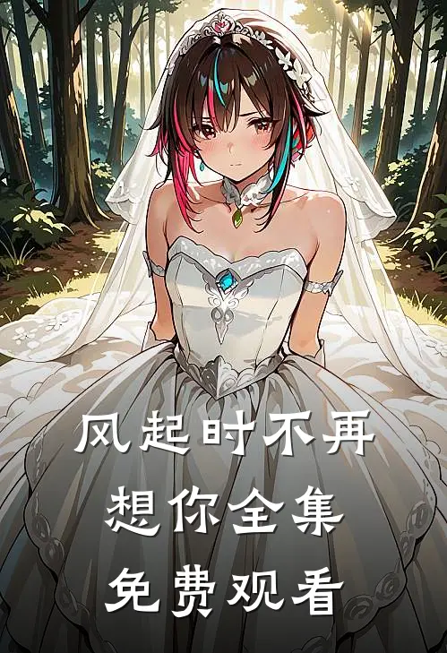 风起时不再想你全集免费观看