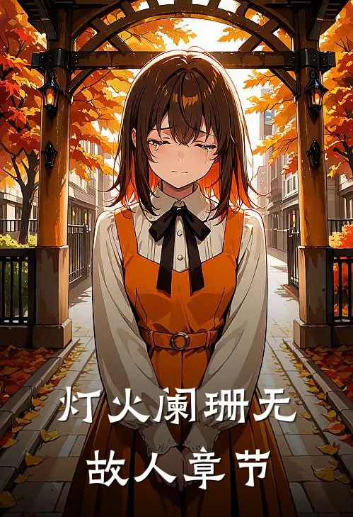 灯火阑珊无故人章节