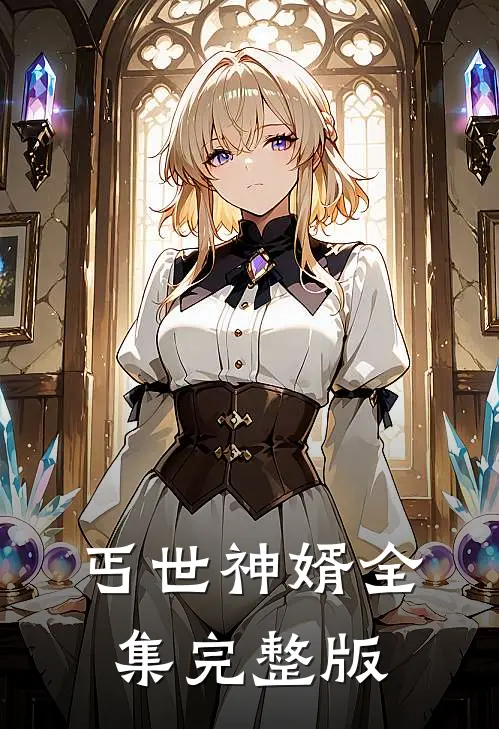 丐世神婿全集完整版