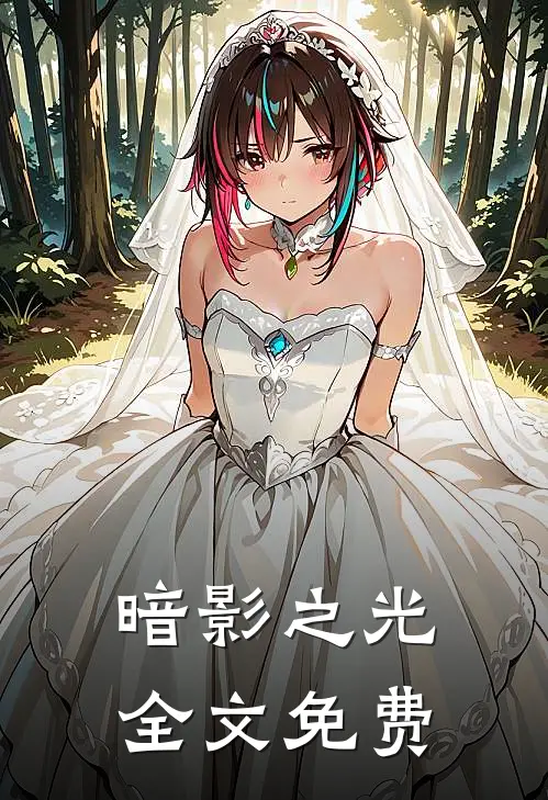暗影之光全文免费
