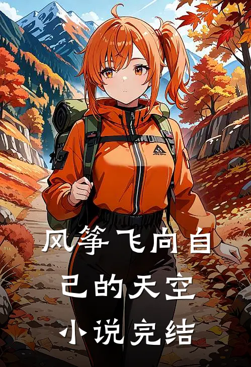 风筝飞向自己的天空小说完结