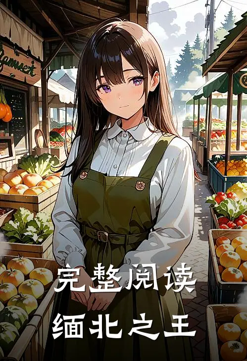 完整阅读缅北之王