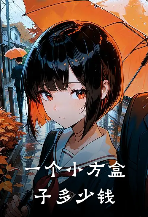 一个小方盒子多少钱