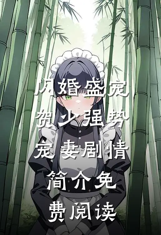闪婚盛宠贺少强势宠妻剧情简介免费阅读