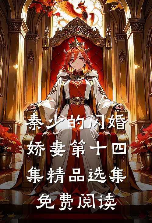 秦少的闪婚娇妻第十四集精品选集免费阅读