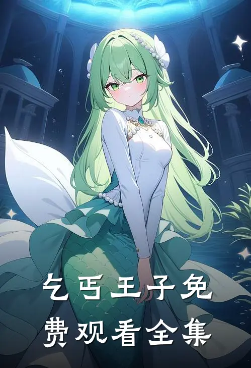 乞丐王子免费观看全集