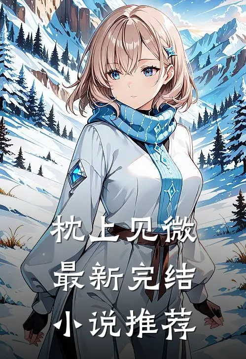 枕上见微最新完结小说推荐