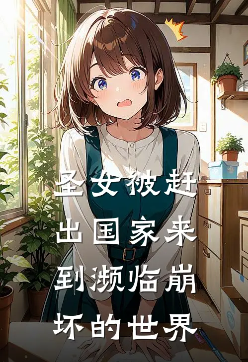 圣女被赶出国家来到濒临崩坏的世界