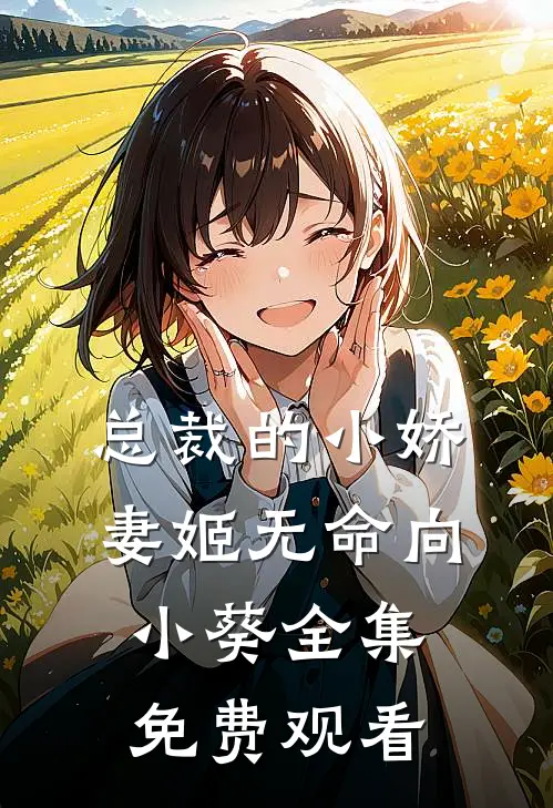 总裁的小娇妻姬无命向小葵 全集免费观看