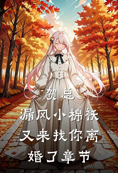 贺总，漏风小棉袄又来找你离婚了章节