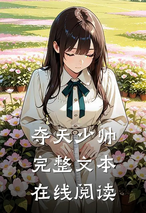 夺天少帅完整文本在线阅读