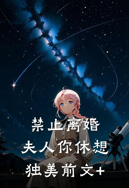 禁止离婚，夫人你休想独美前文+
