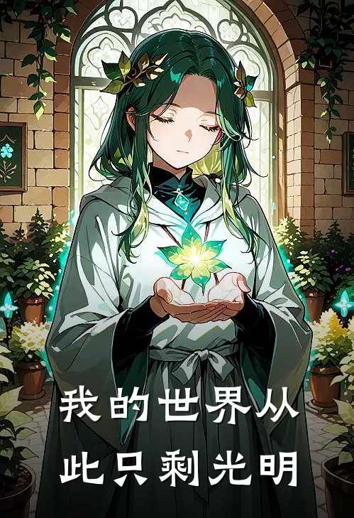 我的世界从此只剩光明和黑暗