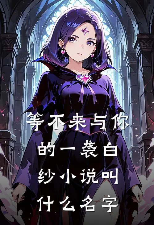 等不来与你的一袭白纱小说叫什么名字