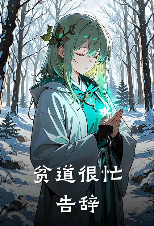 贫道很忙，告辞